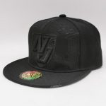 New stylish NJ snapback hat