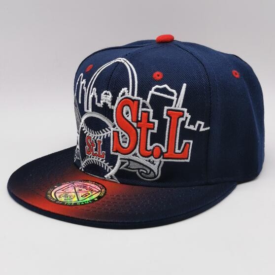 New stylish Denver snap back hat